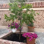 Residenza Nikol Giulia *