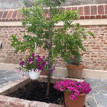 Residenza Nikol Giulia *