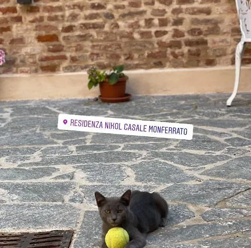 Residenza Nikol Giulia * Casale Monferrato
