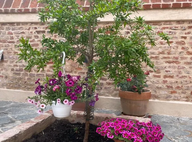 Residenza Nikol Giulia *